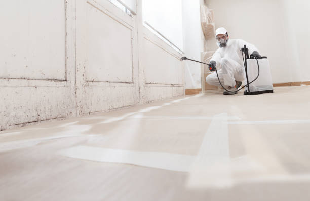 24/7 Emergency Mold Remediation experts in Pipersville, PA